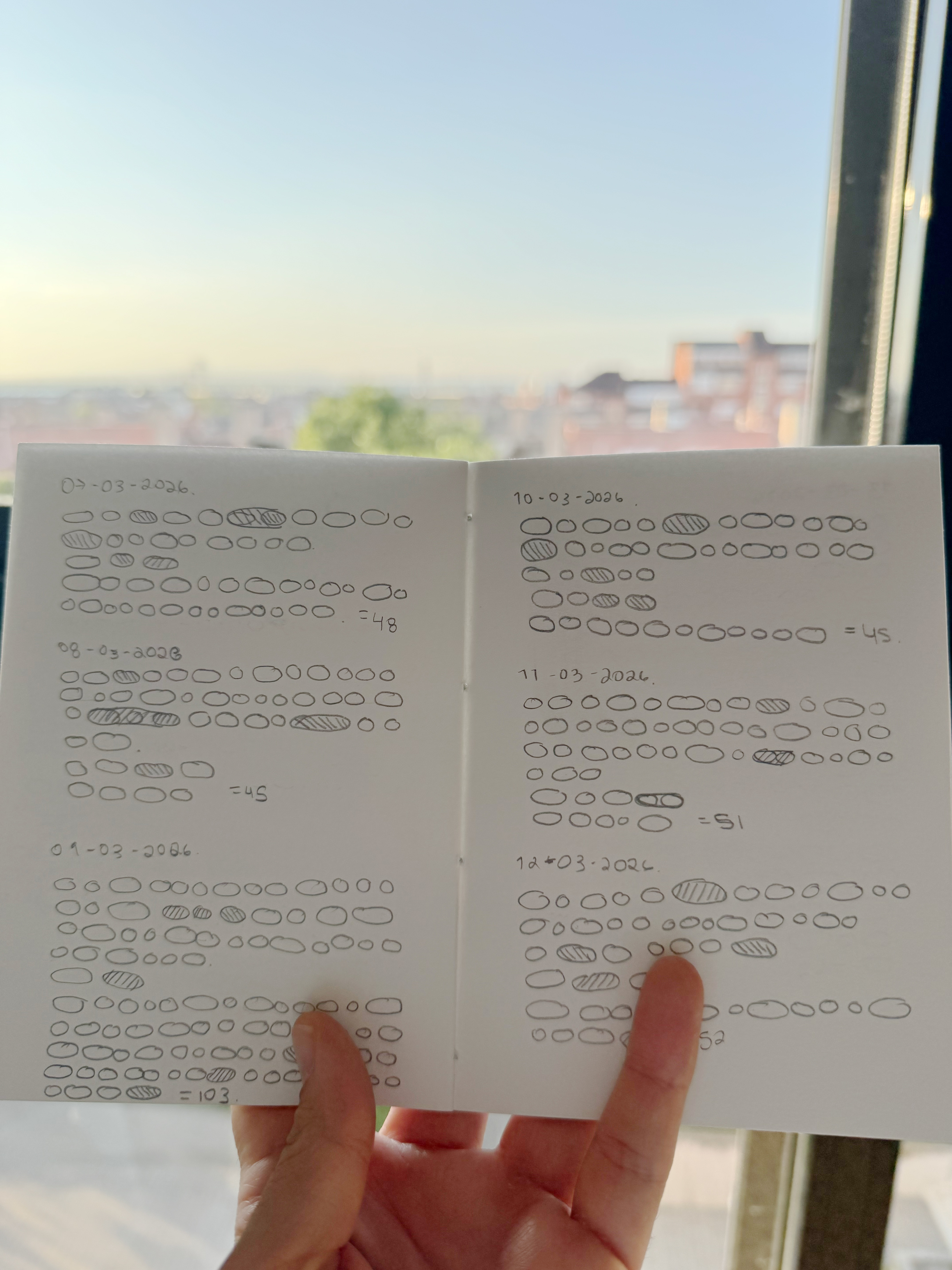 My Journal data design language